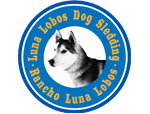 activity-luna-lobos-dog-sledding-best-park-city