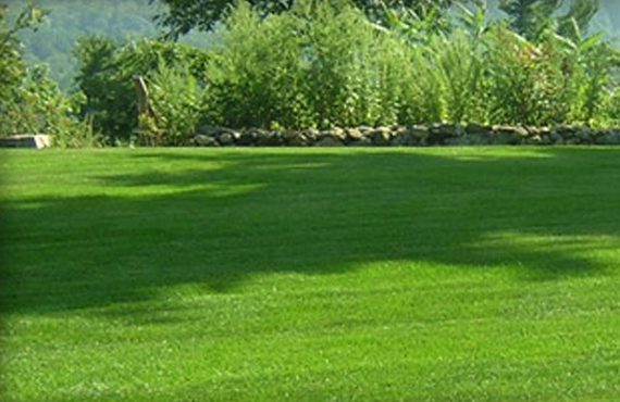 best-park-city-lawn-maintenance-high-country-lawncare