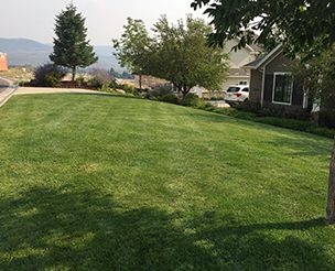 lawncare-sprinklers-park-city-SJ-lawn-maintenance