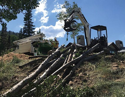 parkcity-tree-removal-canyon-cutters