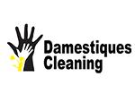 damestiques-professional-house-cleaning-park-city