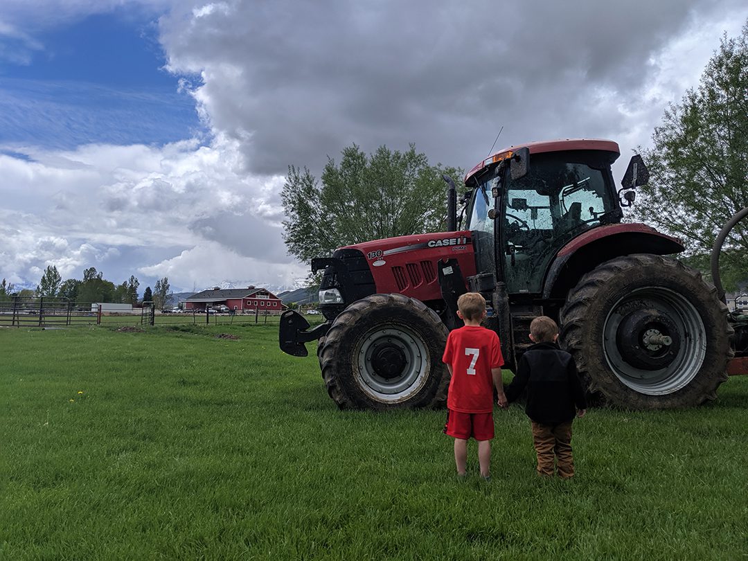 heber-valley-cheese-artisans-touch-a-tractor-event