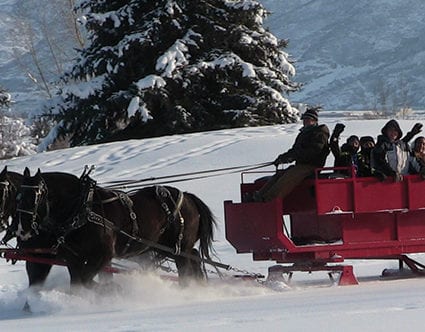 rocky-mountain-outfitters-park-city-sleigh-rides