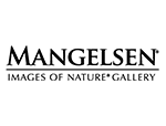 mangelsen-images-of-nature-gallery-park-city